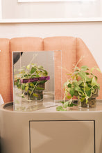 Carregar imagem no visualizador da galeria, Quadro Espelhado - Fabulous